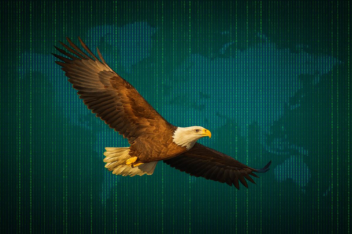 Strategic IT Enablement Across Markets